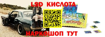 стафф Тара