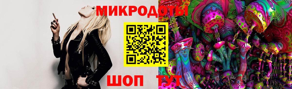 Бор  Псилоцибиновые грибы Cubensis  Вход с VPN 